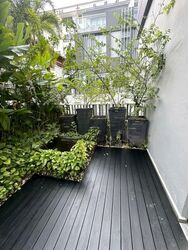 Milford Villas (D13), Terrace #631094741